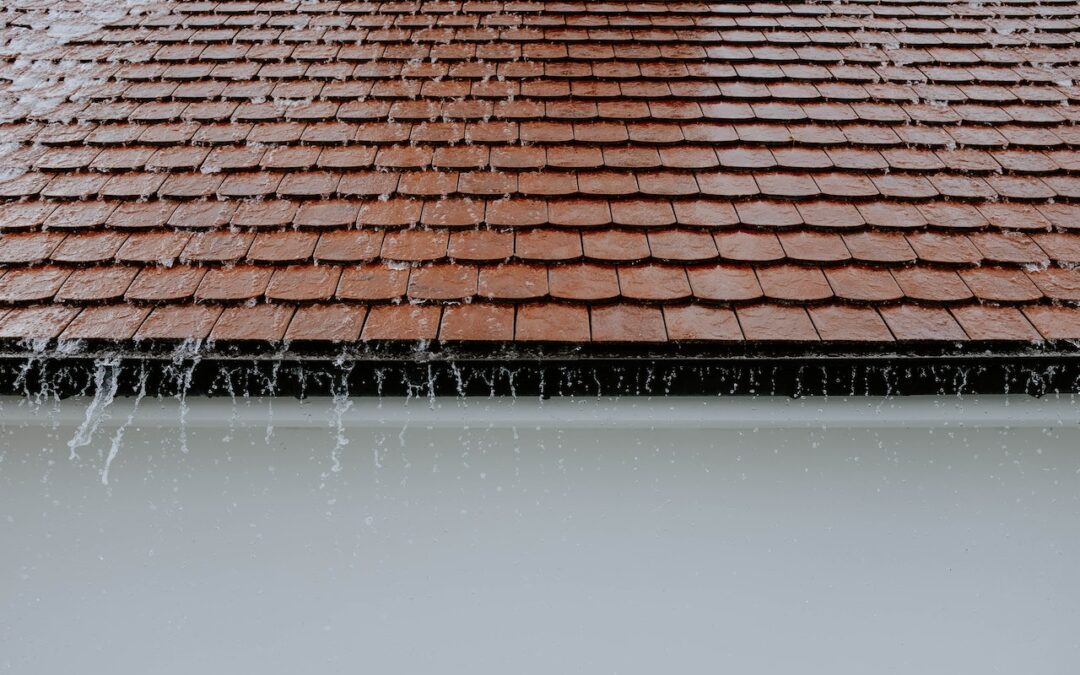 Jak zachowuje się piana pur po zalaniu wodą? Czy dach wysycha?